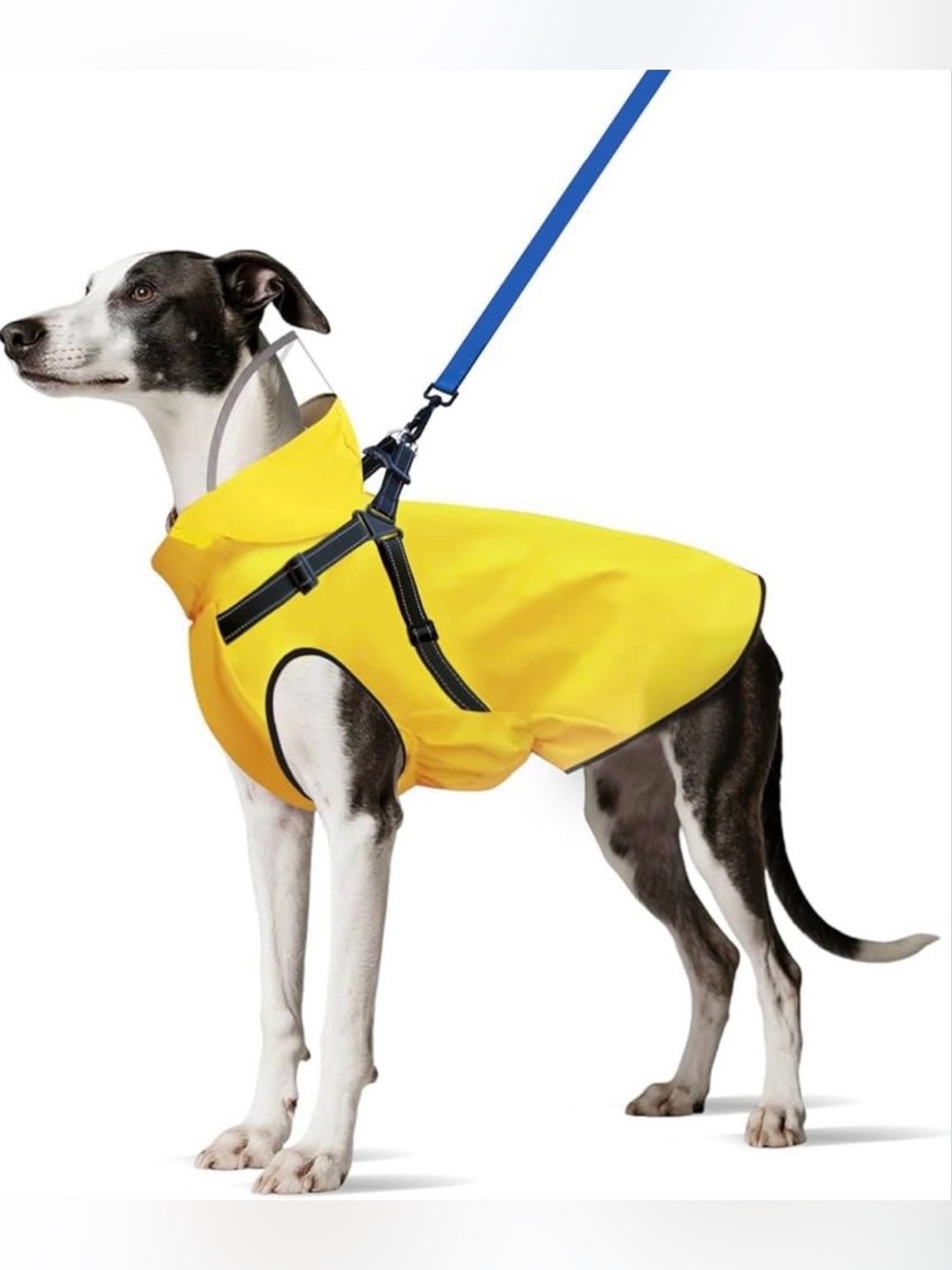 Dog Raincoat: Dog Rain Jacket with Reflective Harness & Removable Hood |
Waterpr